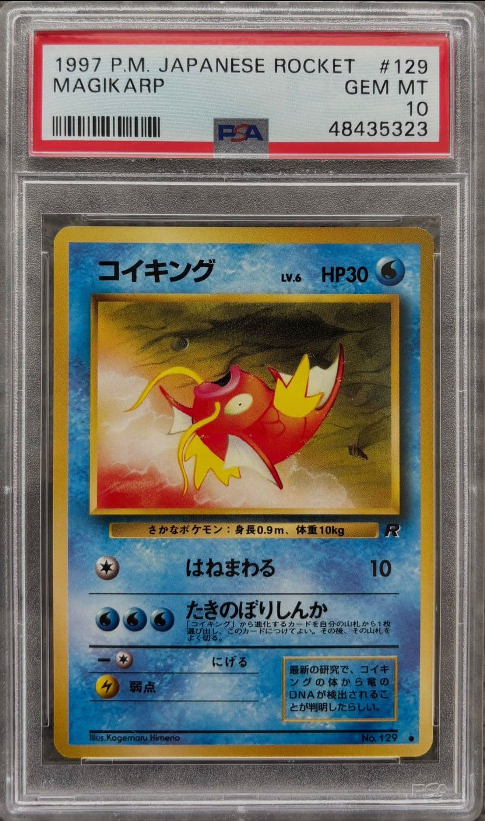 たねポケモン コイキング